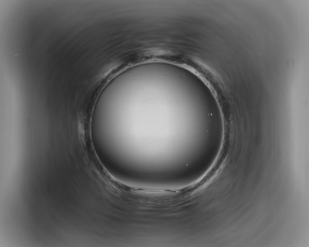 X0000115541305200911061452