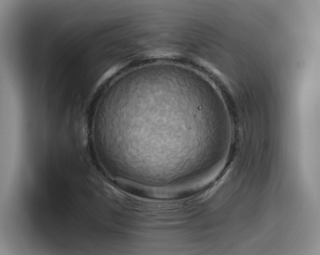 X0000115541306200911061452