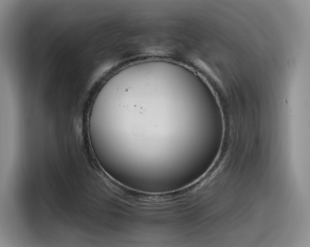 X0000115541307200911061452