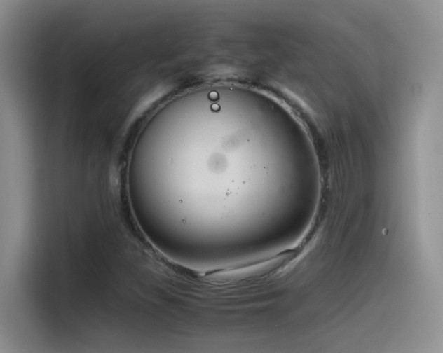 X0000115541309200911061452