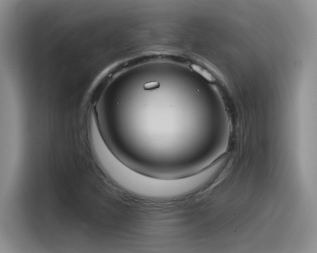 X0000115541310200911061452