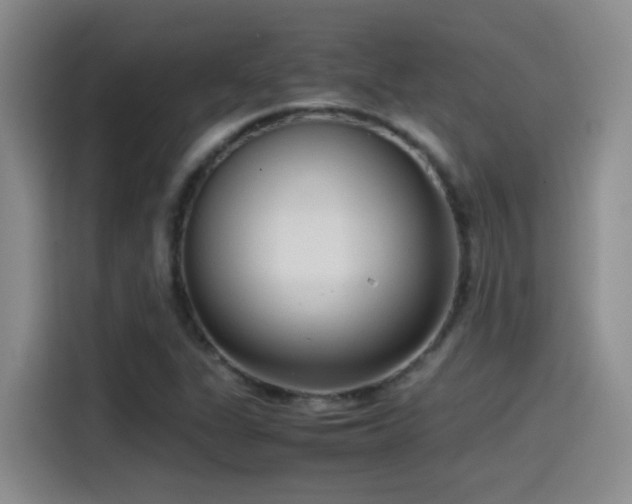 X0000115541311200911061452