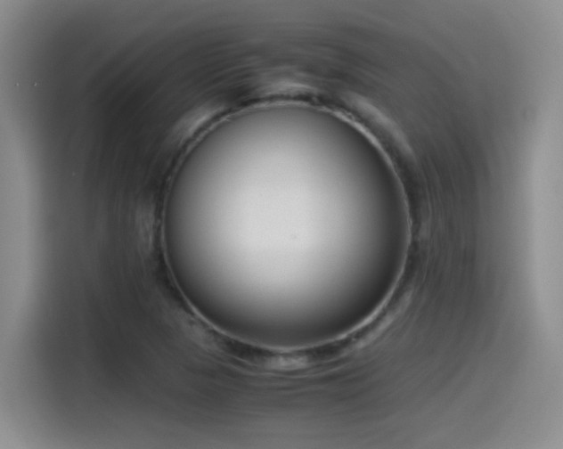 X0000115541313200911061452