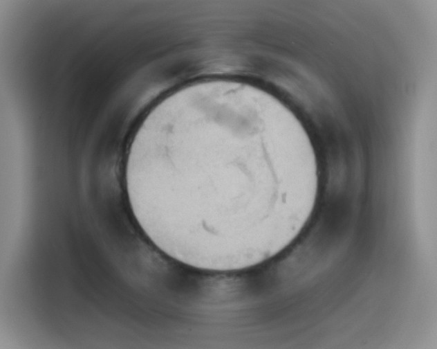 X0000115541314200911061452