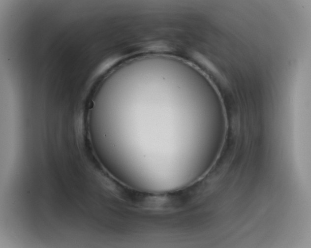 X0000115541315200911061452