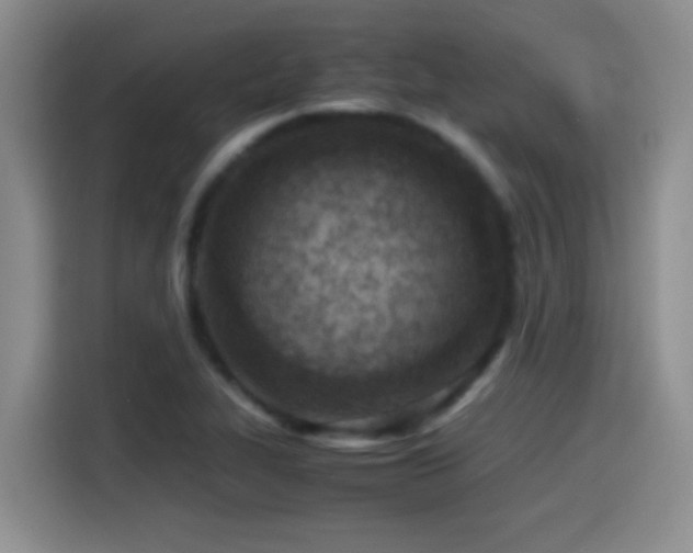 X0000115541319200911061452