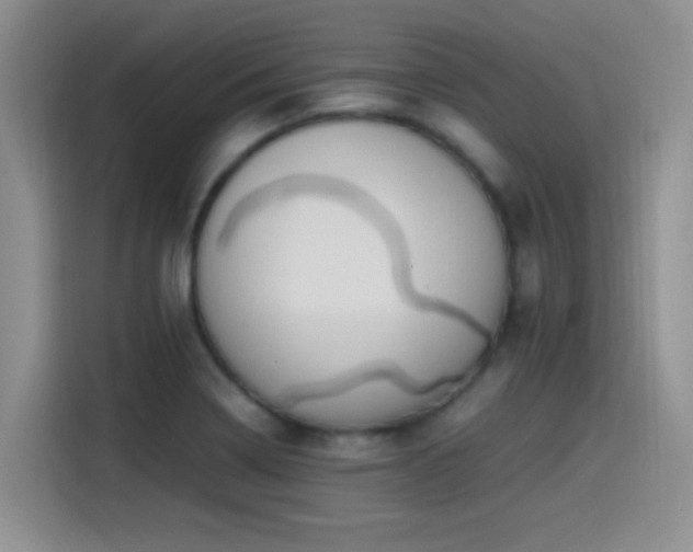 X0000115541322200911061452