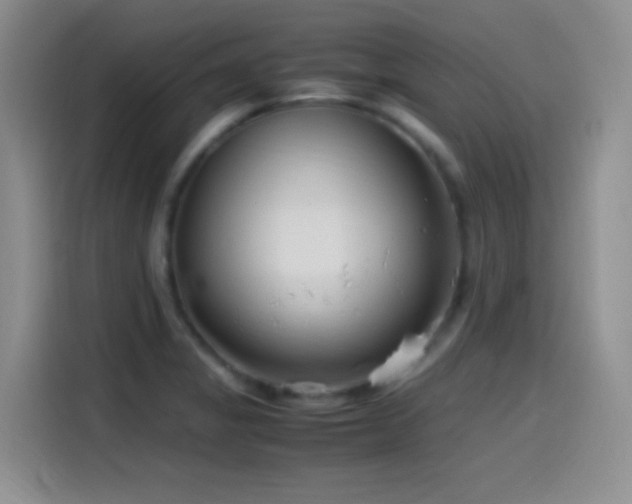 X0000115541325200911061452