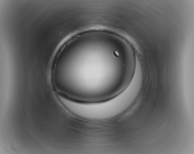 X0000115541326200911061452