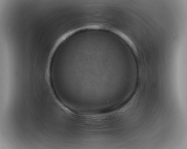 X0000115541327200911061452