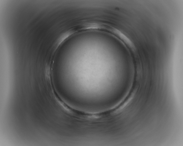 X0000115541329200911061452