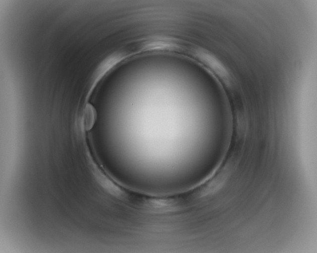 X0000115541330200911061452