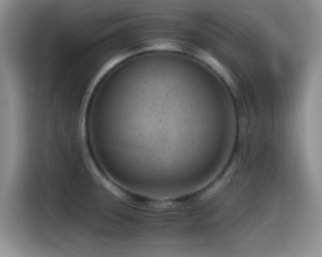 X0000115541331200911061452