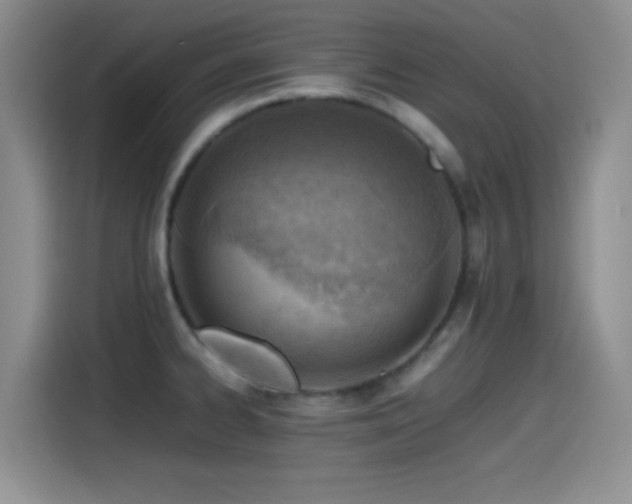 X0000115541334200911061452