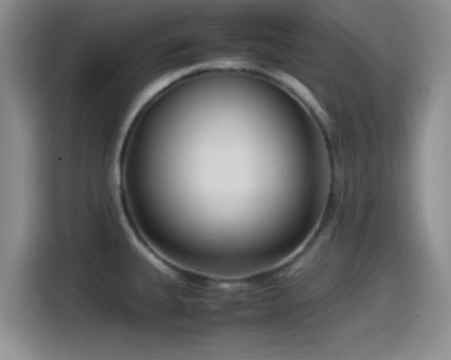 X0000115541335200911061452