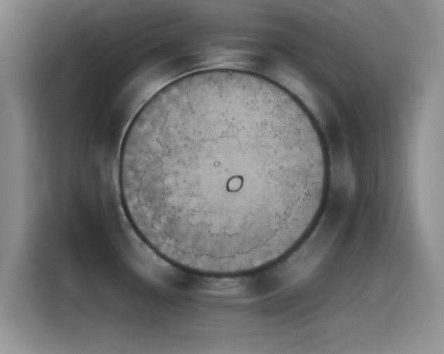 X0000115541338200911061452