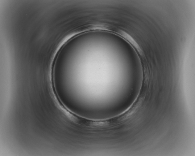 X0000115541339200911061452