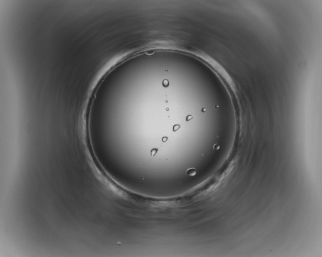 X0000115541341200911061452