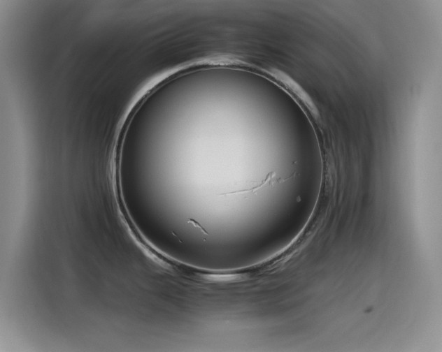 X0000115541343200911061452