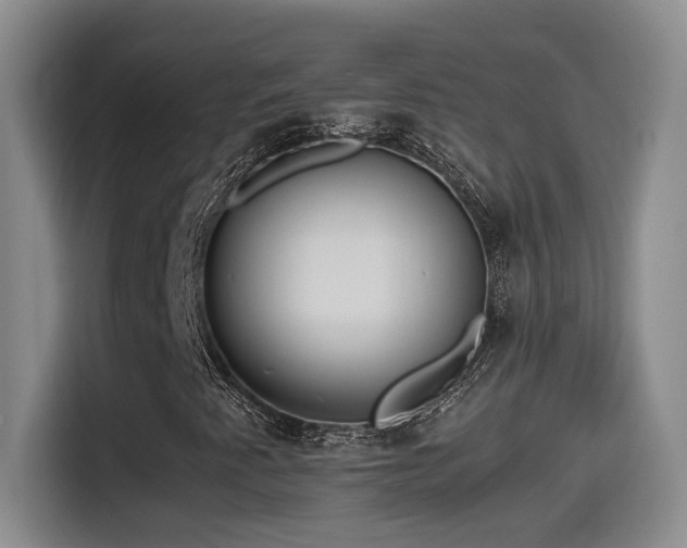 X0000115541345200911061452