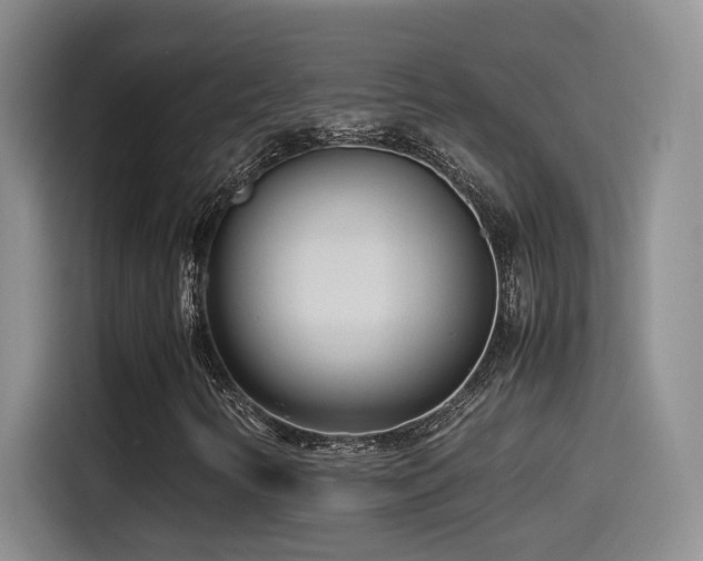 X0000115541346200911061452