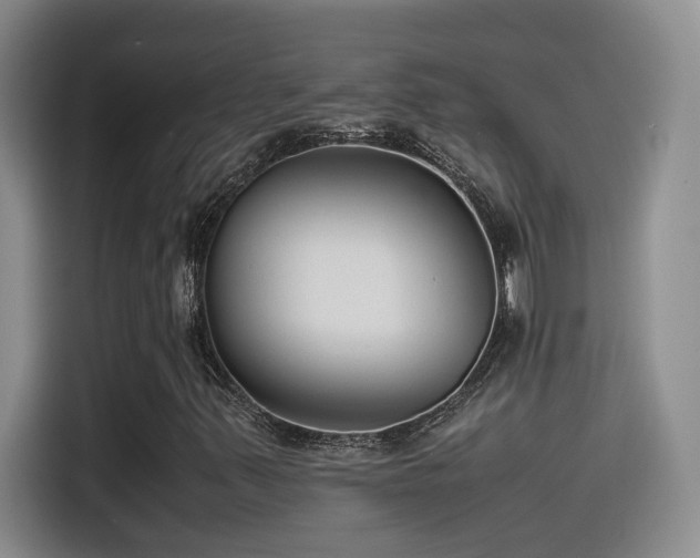 X0000115541347200911061452