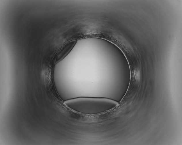 X0000115541348200911061452