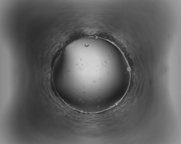 X0000115541349200911061452