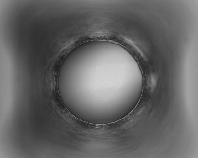 X0000115541350200911061452