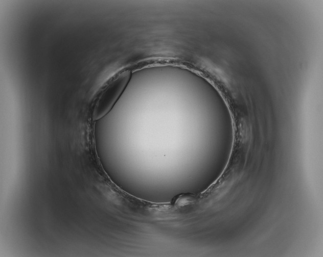 X0000115541352200911061452