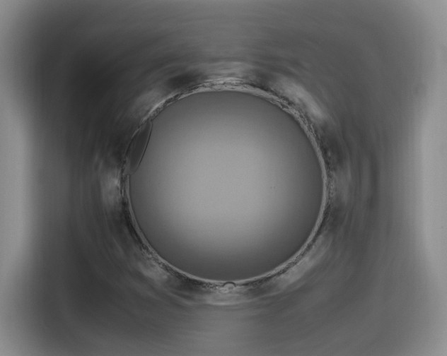 X0000115541353200911061452