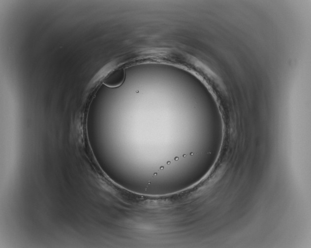 X0000115541354200911061452