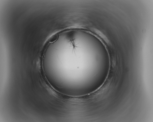 X0000115541356200911061452