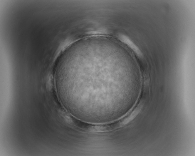 X0000115541357200911061452