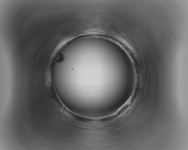 X0000115541358200911061452