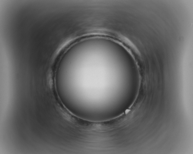 X0000115541360200911061452