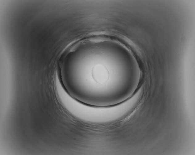 X0000115541361200911061452