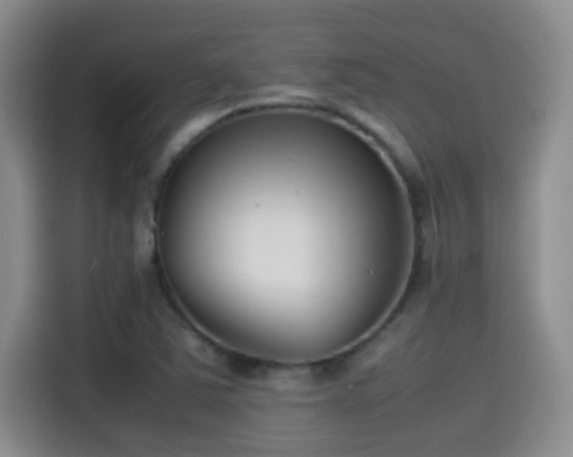 X0000115541363200911061452