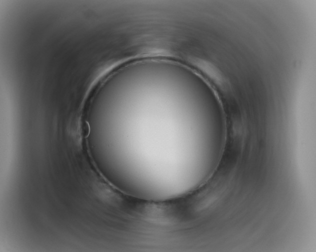 X0000115541364200911061452