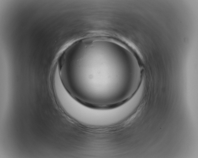 X0000115541365200911061452