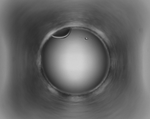 X0000115541366200911061452