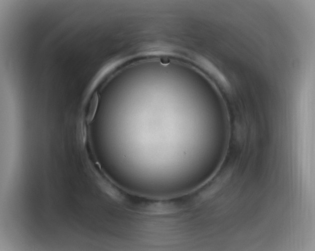 X0000115541368200911061452