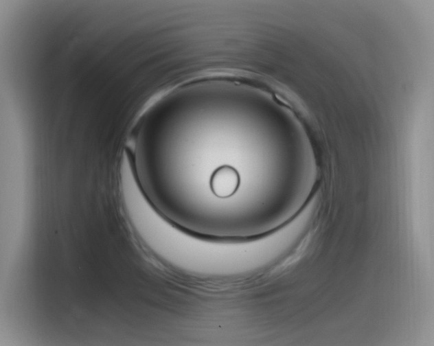 X0000115541369200911061452