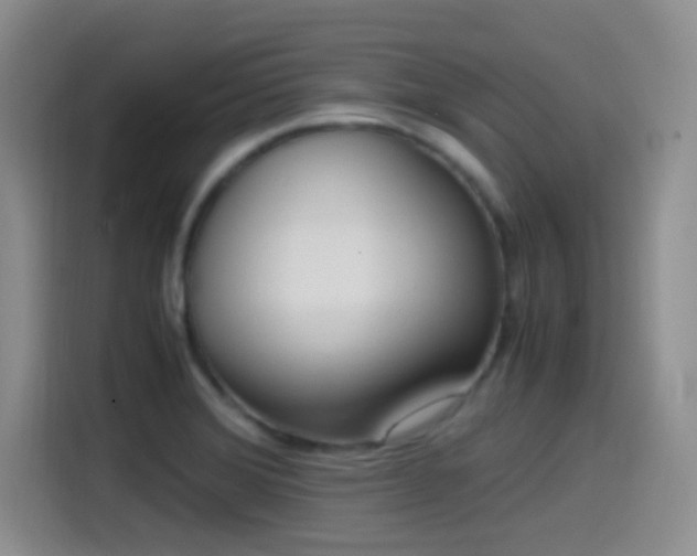 X0000115541372200911061452