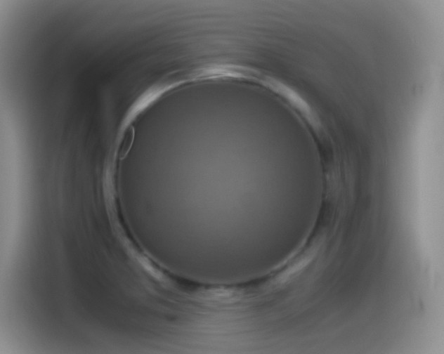 X0000115541373200911061451