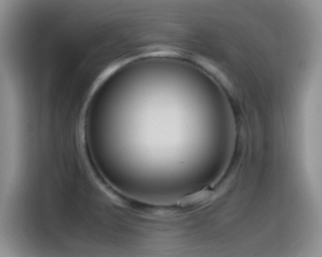 X0000115541375200911061451