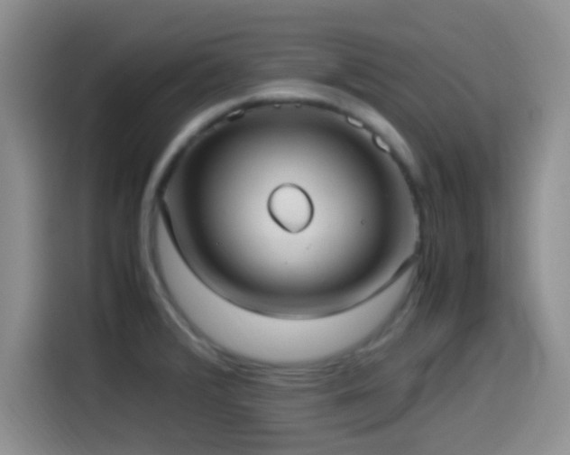 X0000115541376200911061451