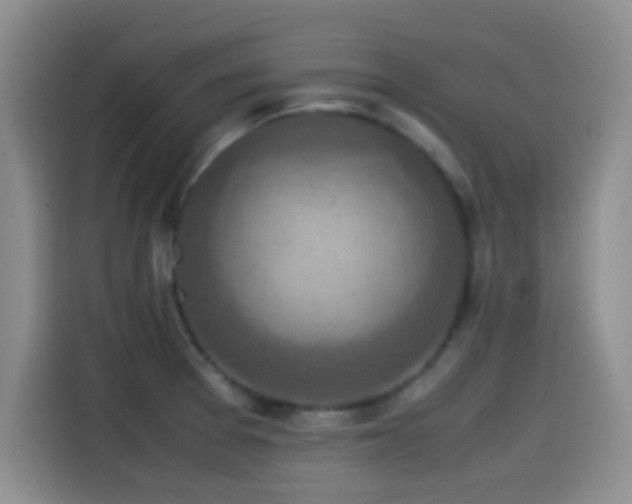 X0000115541377200911061451