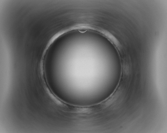 X0000115541382200911061451