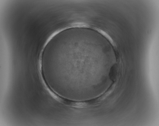 X0000115541383200911061451